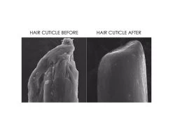 OLAPLEX No. 3 Hair Perfector Repair & Strengthen Set 11 OLAPLEX No. 3 Hair Perfector Repair & Strengthen Set -Care Products Store 13ov5p04 202210181530500101