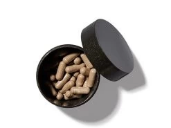 Dr. Barbara Sturm Skin Protection Supplement -Care Products Store 2ufv2bkq 202308111627326033