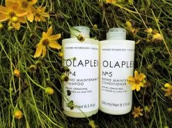 OLAPLEX No. 5 Bond Maintenance Conditioner 22 OLAPLEX No. 5 Bond Maintenance Conditioner -Care Products Store an0fzb0f 202208241544060107