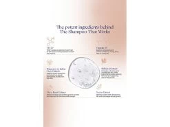 Augustinus Bader The Shampoo -Care Products Store bcembvld 202302171837388506