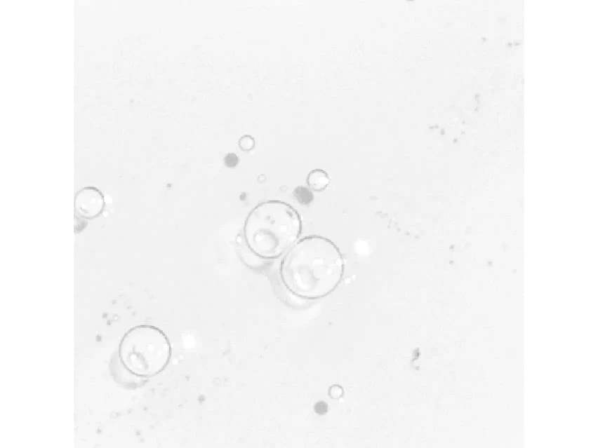 Derma E Vitamin C 10% Multi-Acid Radiance Liquid Peel 4 Derma E Vitamin C 10% Multi-Acid Radiance Liquid Peel - Image 2