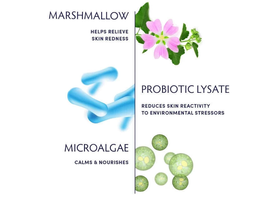 Naturopathica Marshmallow & Probiotic Sensitivity Soothing Cream Cleanser 5 Naturopathica Marshmallow & Probiotic Sensitivity Soothing Cream Cleanser - Image 3