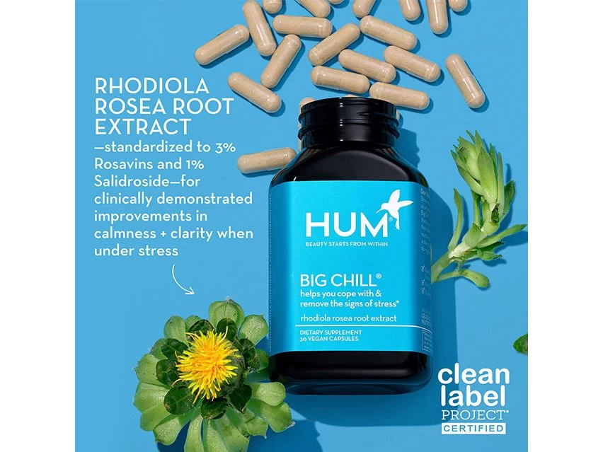 HUM Nutrition Big Chill Dietary Supplement 4 HUM Nutrition Big Chill Dietary Supplement - Image 2