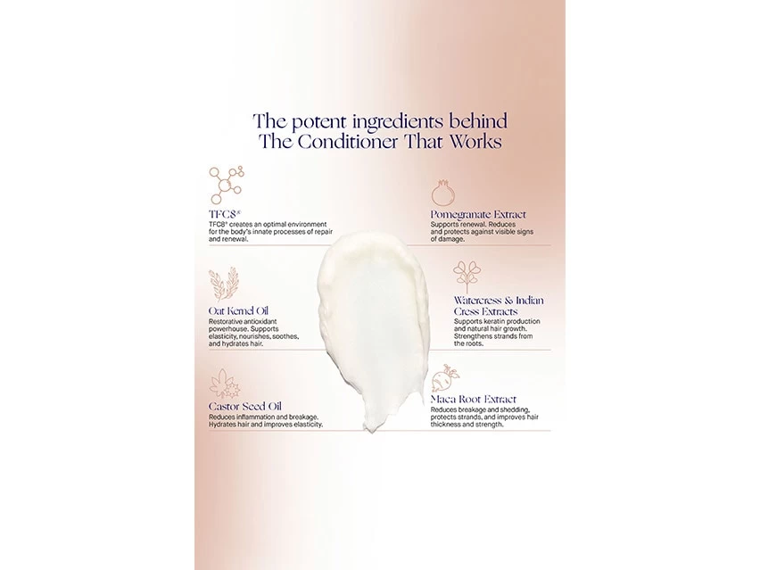 Augustinus Bader The Conditioner 4 Augustinus Bader The Conditioner - Image 2