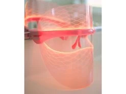 Skin Gym Wrinklit LED Mask -Care Products Store hedagpqv 202306221346022326