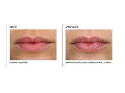 PCA SKIN Hydrating Overnight Lip Mask -Care Products Store i3h0gnnj 202108112005232364