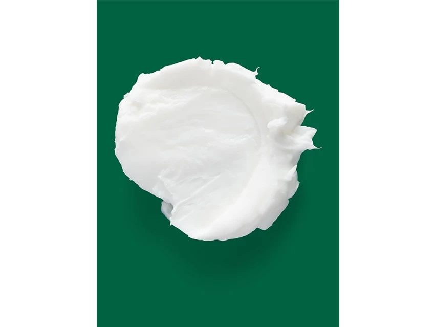 Verb Forming Fiber 4 Verb Forming Fiber - Image 2