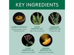 René Furterer Rene Furterer CURBICIA Normalizing Lightness Shampoo -Care Products Store krdydlvt 202204111941558990