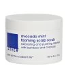 LATHER Avocado Mint Foaming Scalp Scrub 2 LATHER Avocado Mint Foaming Scalp Scrub -Care Products Store lemue2gm 202105121809316287