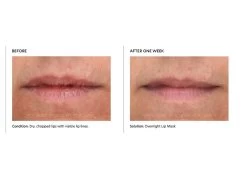 PCA SKIN Hydrating Overnight Lip Mask -Care Products Store myva0b54 202108112004424638