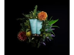 Hush & Hush DeeplyRooted Conditioner Intense Nourishing Hydrator -Care Products Store odiw1gii 202201211721142438