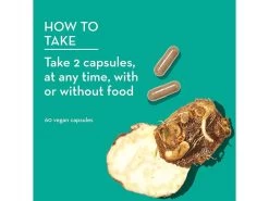 HUM Nutrition Skin Squad Pre+Probiotic Dietary Supplement 13 HUM Nutrition Skin Squad Pre+Probiotic Dietary Supplement -Care Products Store qhzhvt3e 202212291832220593