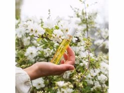 Leonor Greyl Regenerescence Naturelle Invigorating And Purifying Scalp Oil Treatment -Care Products Store s4j4llzw 202207271654076627