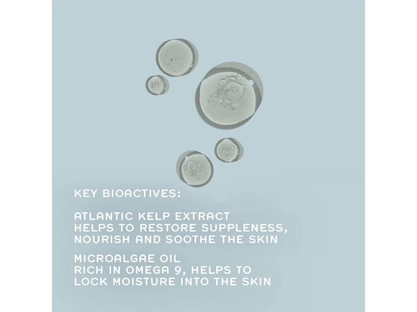 REN Clean Skincare Atlantic Kelp And Microalgae Anti-Fatigue Toning Body Oil 4 REN Clean Skincare Atlantic Kelp And Microalgae Anti-Fatigue Toning Body Oil - Image 2