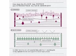 REN Clean Skincare Evercalm Barrier Support Face Oil 16 REN Clean Skincare Evercalm Barrier Support Face Oil -Care Products Store vgga0vxh 202205031722282026
