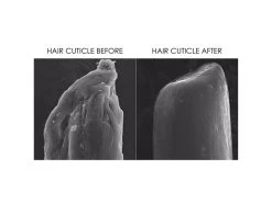 OLAPLEX Intensive Bond Treatment Set 17 OLAPLEX Intensive Bond Treatment Set -Care Products Store xaq1j2bk 202210181550353274