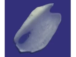 LovelySkin LUXE Vitamin K Cream -Care Products Store ynft3gec 202207201308562967